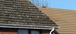 Gutter and roof cleaning in Croydon and Carshalton
